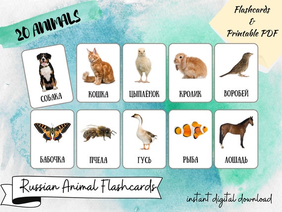 Farm Animals Russian Flash Cards Bilingual Cards Montessori - Etsy Farm Animals Russian Flash Cards Bilingual Cards Montessori - Etsy