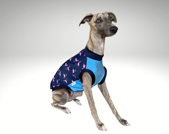 whippet muzzle australia