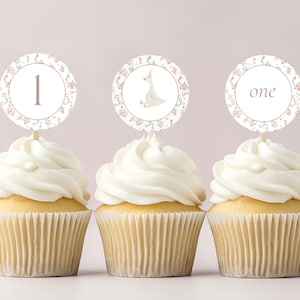 One Silly Goose Birthday Cupcake Toppers for a Goose First Birthday, Pink Silly Goose 1st Birthday, Goose Party Decor