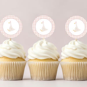 One Silly Goose Birthday Cupcake Toppers for a Goose First Birthday, Pink Silly Goose 1st Birthday, Goose Party Decor