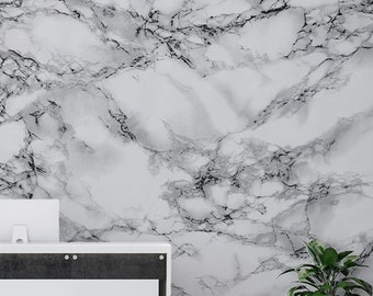 Puede incluir: Un mural de pared con patrón de mármol blanco y gris con vetas oscuras, situado detrás de un mostrador de recepción blanco con un panel frontal gris oscuro y una planta verde en un soporte blanco a la derecha.