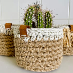 May include: Three small, crocheted baskets made of natural jute twine with white trim. The center basket has a small cactus plant inside. Each basket has a brown leather handle.