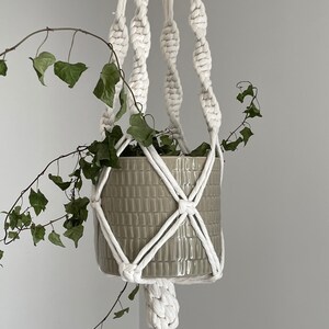 May include: A white macrame plant hanger with a green potted plant. The hanger is made of thick cotton rope and has a diamond pattern. The plant is a trailing vine with green leaves.