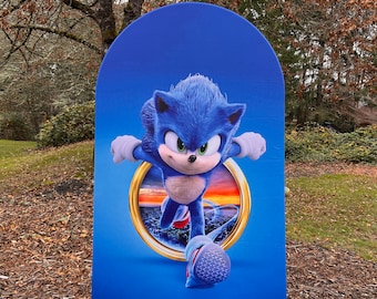 Sonic backdrops/ backdrop covers for party/party decor background