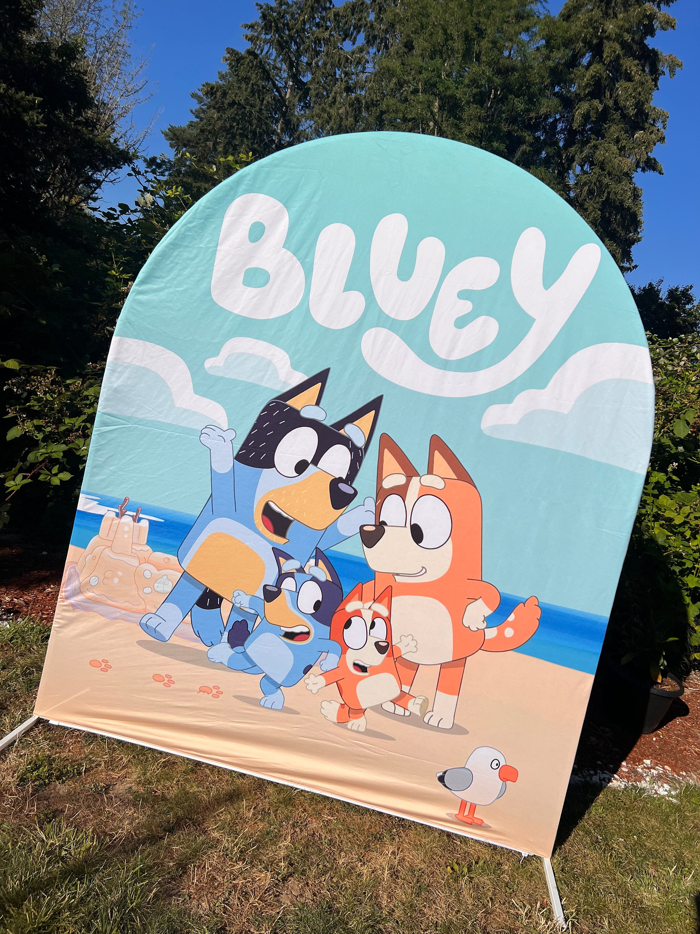 Bluey Backdrop Cover – Custom cover for backdrop stands.