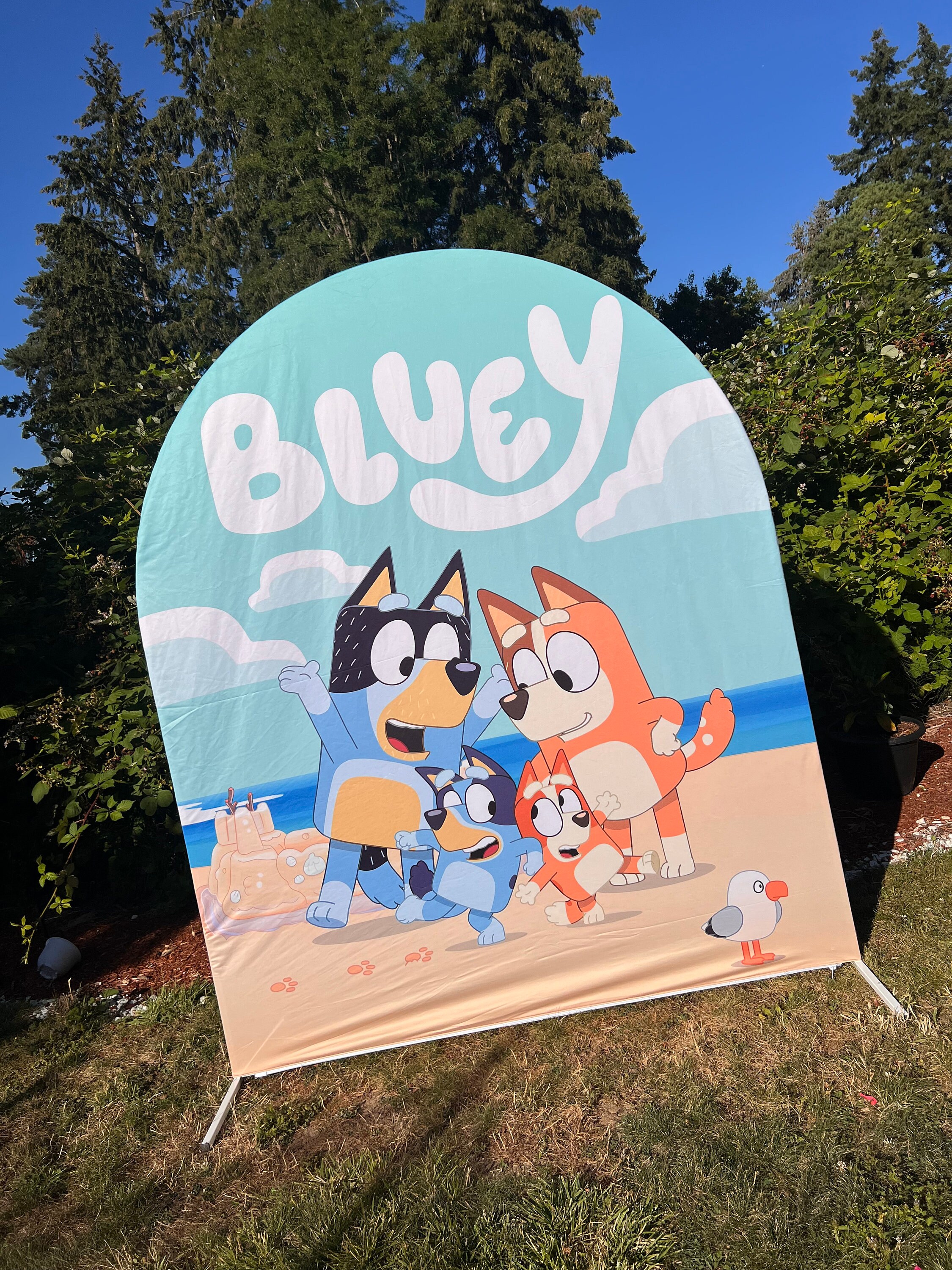 Bluey Backdrop Cover – Custom cover for backdrop stands.
