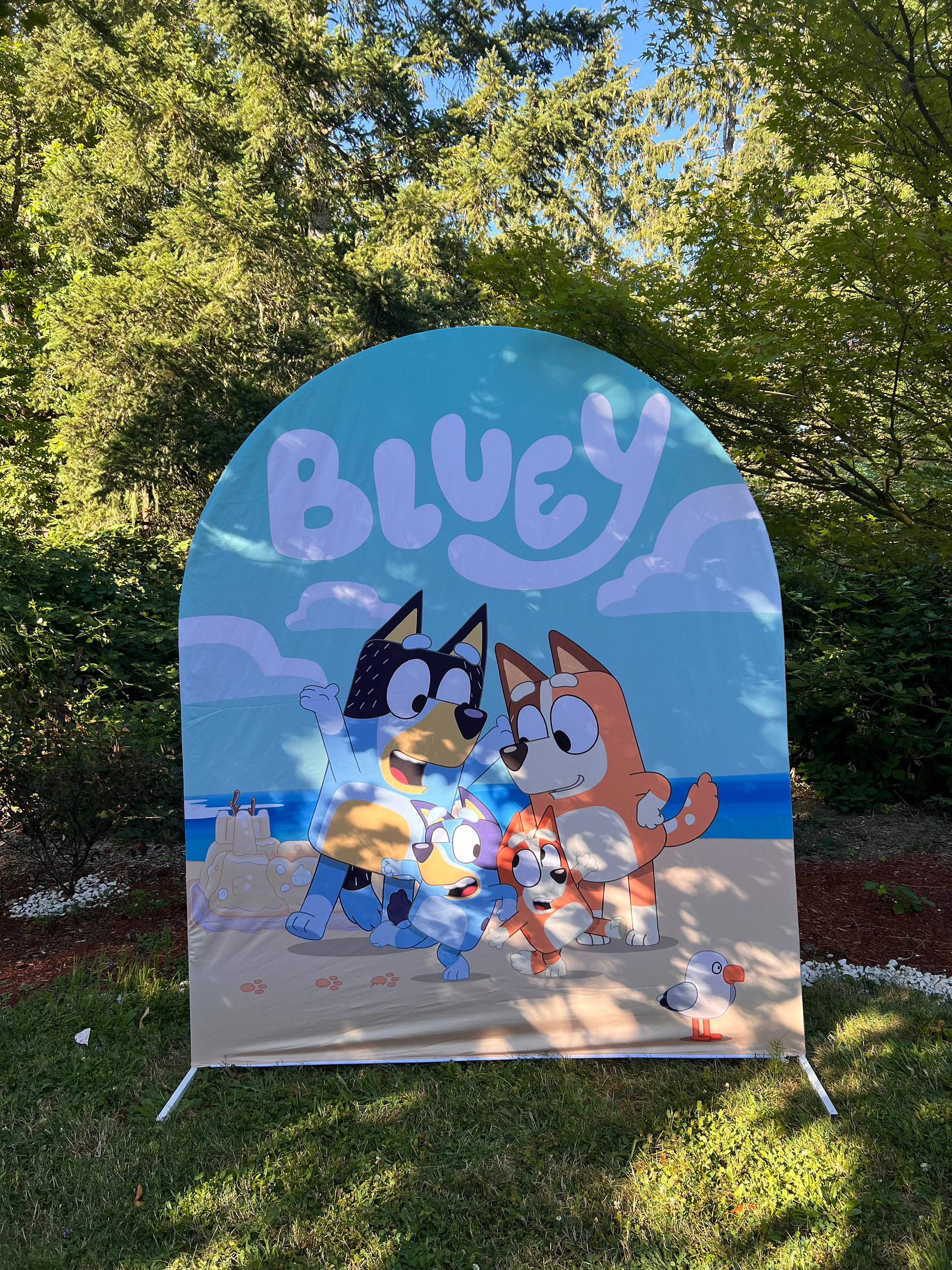 Bluey Backdrop Cover – Custom cover for backdrop stands.
