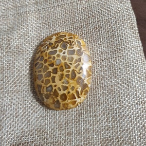 May include: An oval gemstone with a distinctive pattern of tan, brown, and cream markings. The polished stone is set against a beige drawstring bag, with a brown background. The gemstone has a glossy finish.