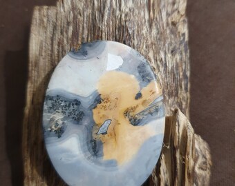 Pictorial maligano jasper