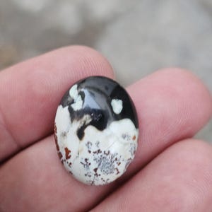 Petrified opal wood cabochon for jewelry making,multicolour jasper gemstone