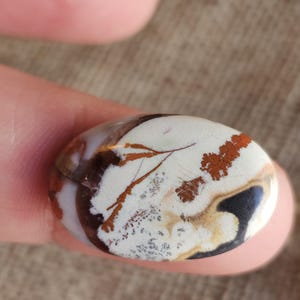 Petrified opal wood cabochon for jewelry making,multicolour jasper gemstone