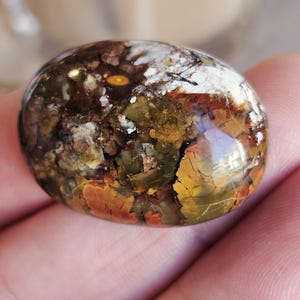 Petrified opal wood cabochon for jewelry making,multicolour jasper gemstone