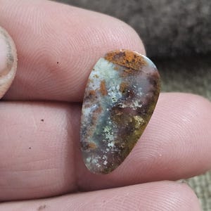 May include: A polished, teardrop-shaped gemstone with a mottled pattern of brown, orange, green, and white. The stone is held between fingers, showcasing its natural colors and textures. The gemstone is likely for jewelry making or collecting.