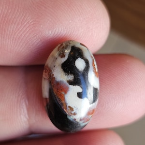Indonesian Opalized Wood Cabochon | Rare Multicolor Fossil Gemstone for Jewelry Making | Natural Polished Agate Pancawarna