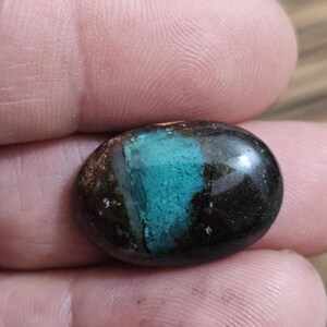 Pancawarna Opalized Wood Cabochon: Rare Gemstone for Jewelry Making,23x16x8mm