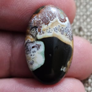 Petrified opalized wood cabochon for jewelry making,multicolour jasper gemstone,24x14x5mm