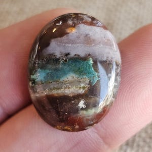 Petrified opal wood cabochon for jewelry making,multicolour jasper gemstone