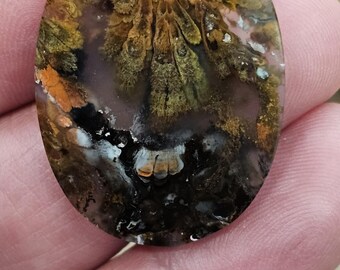 Cabochão de madeira opala petrificada para fabricação de joias, pedra preciosa de jaspe multicolorida, 34x26x4mm