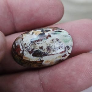 Petrified opal wood cabochon for jewelry making,multicolour jasper gemstone