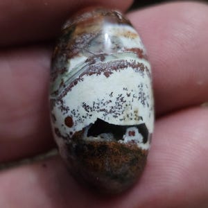 May include: A polished, oval-shaped gemstone with a mix of colors. The stone features a base of brown and white, with streaks of green and dark brown. The surface has a glossy finish, highlighting the natural patterns and textures within the stone.