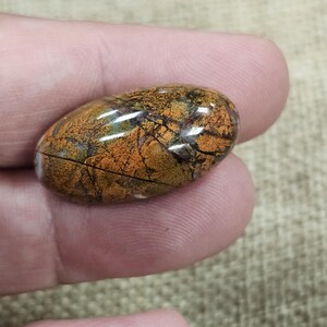 May include: A smooth, oval-shaped, polished stone with a brown, orange, and white marbled pattern.