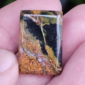 Petrified opal wood cabochon for jewelry making,multicolour jasper gemstone
