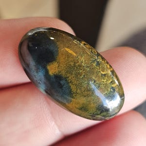 Petrified opal wood cabochon for jewelry making,multicolour jasper gemstone