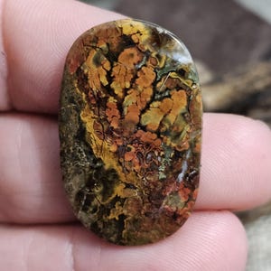 May include: An oval-shaped gemstone with a unique pattern of brown, yellow, and orange hues. The stone's surface displays a complex, organic design, resembling a landscape or abstract artwork. The polished stone is held in a hand.