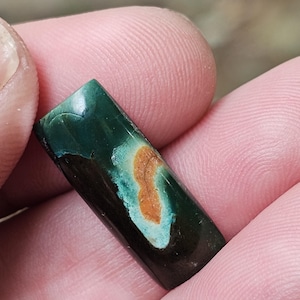 Freeform petrified opal wood gemstone
