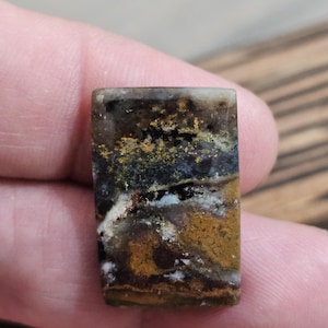 May include: A rectangular gemstone with a mix of colors, including brown, black, gold, and white. The stone has a polished surface and a natural, earthy appearance. The gemstone is held between fingers.