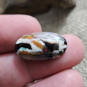 Petrified opalized wood cabochon for jewelry making,multicolour jasper gemstone,23x13x5mm