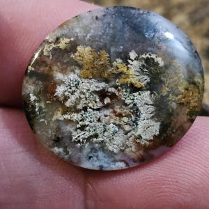 May include: A round, white agate cabochon with brown, black, and gold dendritic patterns. The agate has a smooth, polished surface.