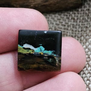 Petrified opalized wood cabochon for jewelry making,multicolour jasper gemstone,17x16x5mm