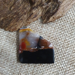 Freeform petrified opal wood gemstone