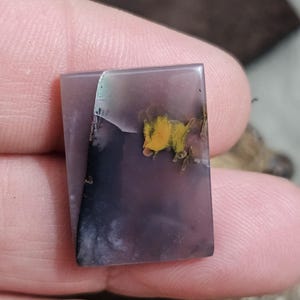 Pancawarna Opalized Wood Cabochon: Rare Gemstone for Jewelry Making,23x17x5mm