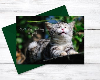 Adorable Thinking of You 5 x 7 Cat Card, Instant Download Greeting Card, Blank Back Card, Printable Pet Card