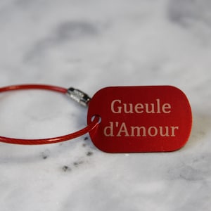 Custom aluminum luggage tag, key ring, identification medal