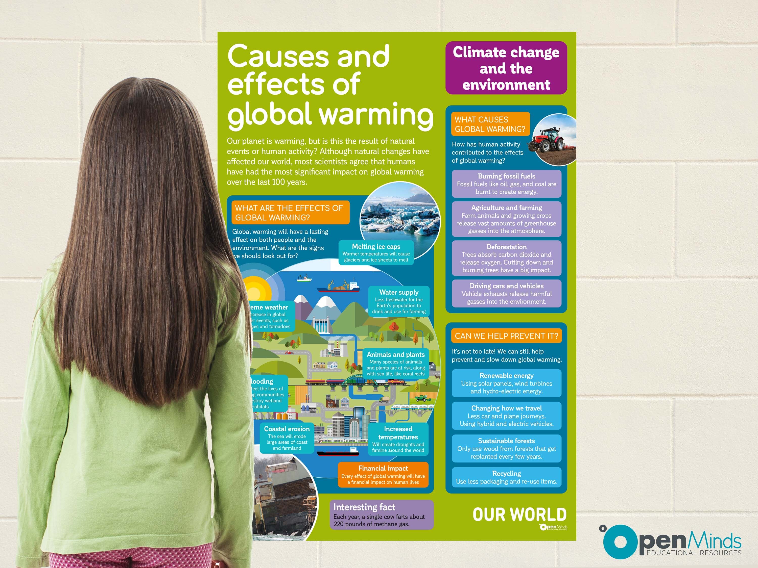 Causes And Effects Of Global Warming Poster A1 Teachers Etsy Australia