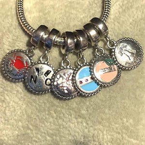 May include: A silver charm bracelet with seven round charms. Each charm has a scalloped edge and features a different design, including a crab, the letters "NYC", cherry blossoms, a Chicago flag, a peach, and the Philadelphia Liberty Bell.