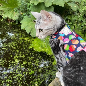 kitten harness, escape proof, cat harness, cupcake