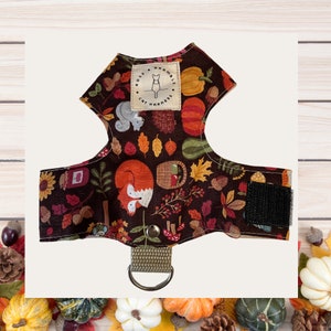 Cat harness, Kitten harness, Escape proof cat harness, butterfly cat harness, Autumn Icons