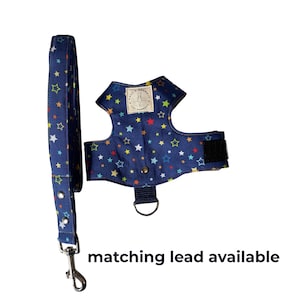 Puede incluir: Un arnés para mascotas azul marino y un juego de correa a juego. El arnés y la correa están cubiertos con un patrón de estrellas de colores. La correa tiene un cierre de metal plateado. El texto "matching lead available" está debajo.
