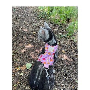 butterfly style cat harness. escape proof, kitten harness,Crabbie