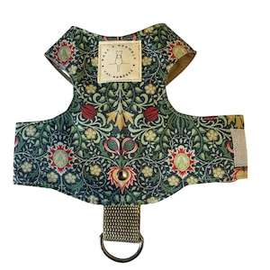Cat harness Escape proof, Lead,Leash, Persian