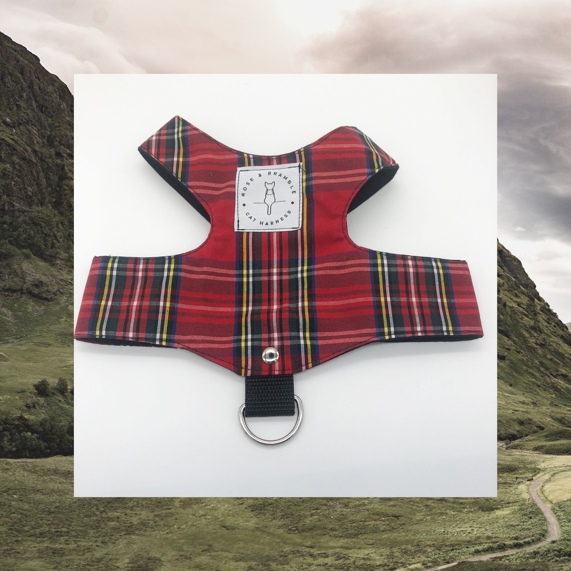 Cat harness, kitten harness, escape proof cat harness, butterfly cat