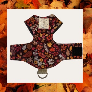 Cat harness, Kitten harness, Escape proof cat harness, butterfly cat harness, Autumn Leaf