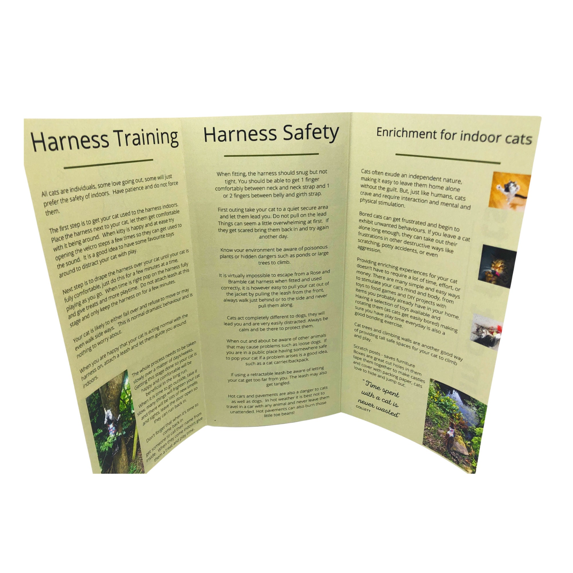 Kitten Harness Cat Harness Large Cat Harness Butterfly Cat Etsy