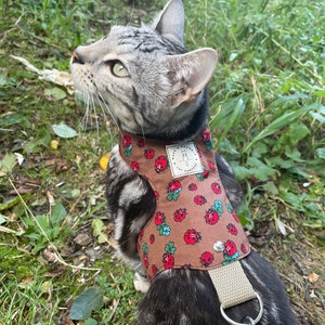 cat harness, kitten harness, butterfly harness, escape proof, Ladybird