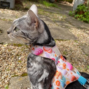 butterfly style cat harness. escape proof, kitten harness,Fantasy Mushroom