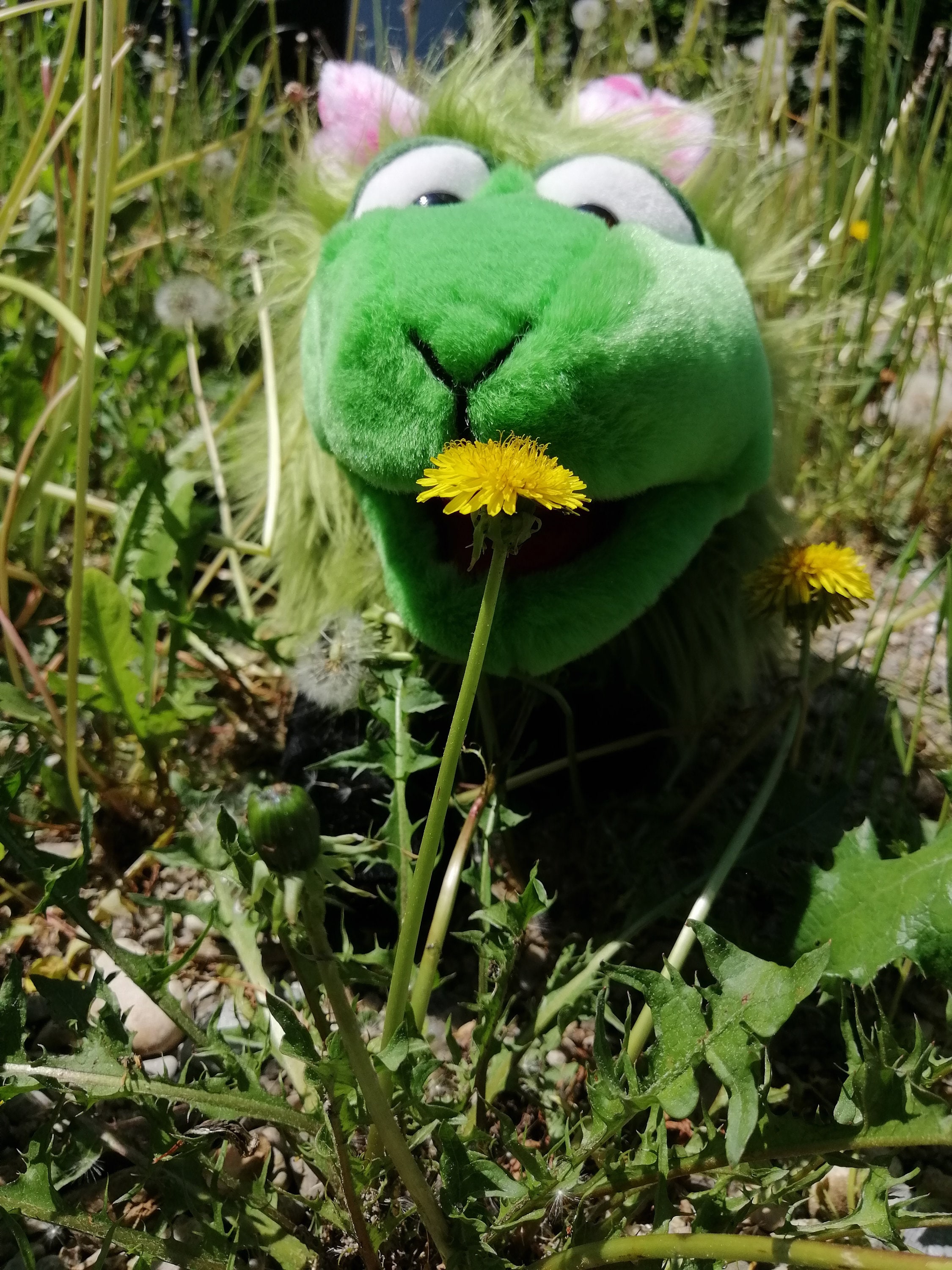Elvensheep - Elvensheep, the magical sheep - hand puppet - limited edition